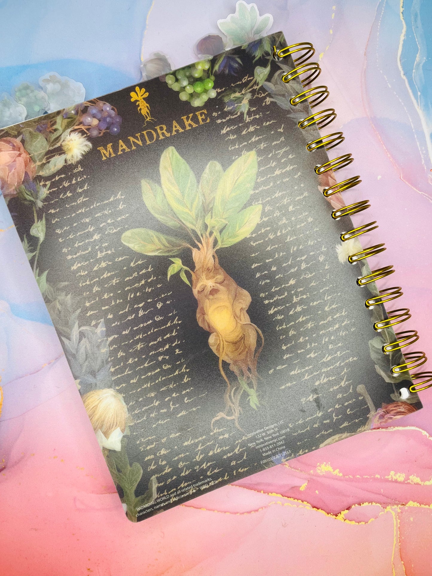 Cuaderno Mandragora